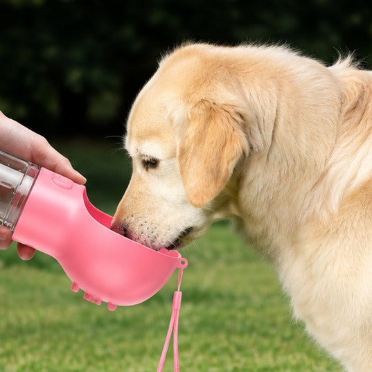 WAFGO en un paseo